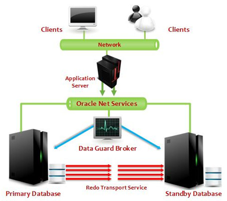 Data guard oracle настройка